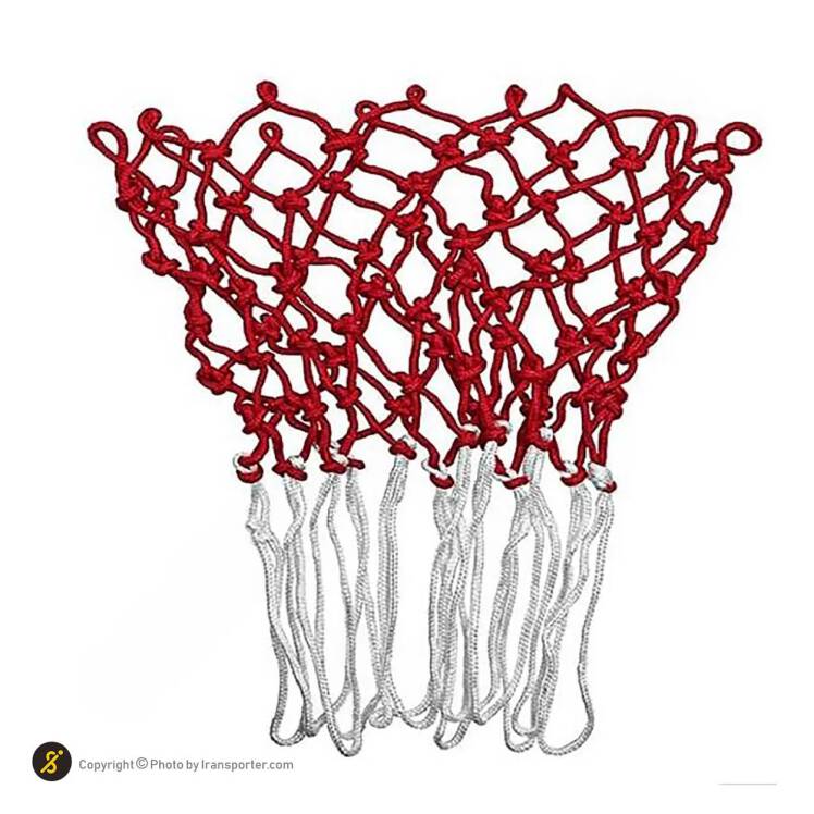 قیمت تور حلقه بسکتبال جفتی نيک اسپرت 