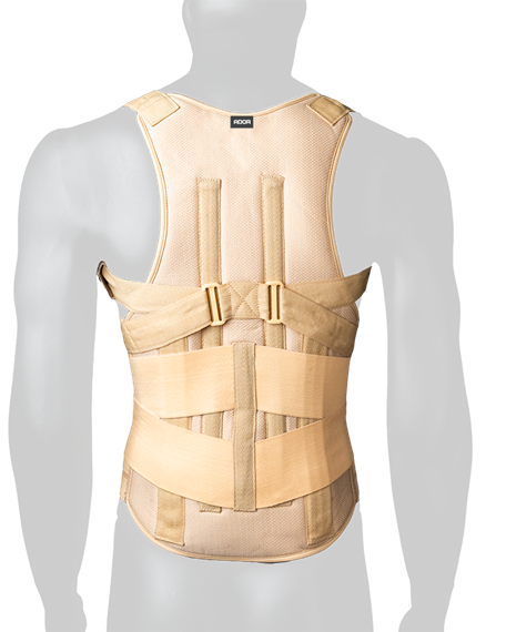قیمت قوزبند کمربند پد دار صادراتی (TLSO) تن یار