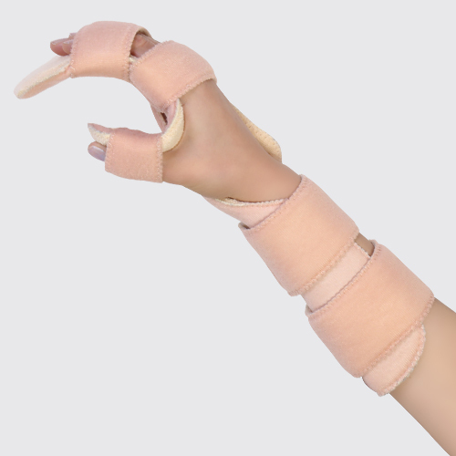 اسپلینت کوک آپ بلند