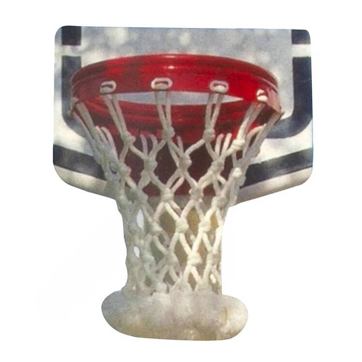 قیمت تور حلقه بسکتبال جفتی حرفه ای گلد نت